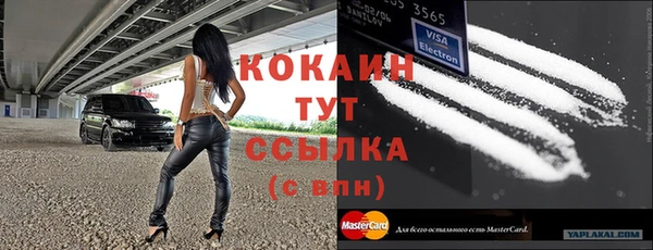тгк Арсеньев