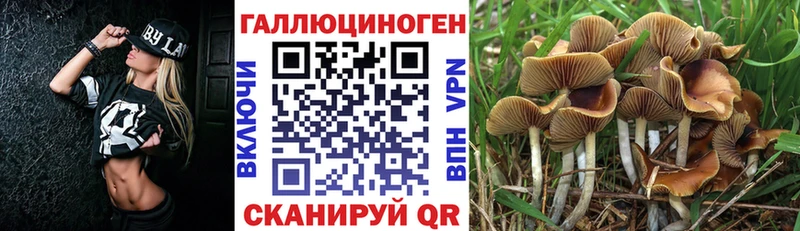 Псилоцибиновые грибы ЛСД  как найти закладки  Могоча 